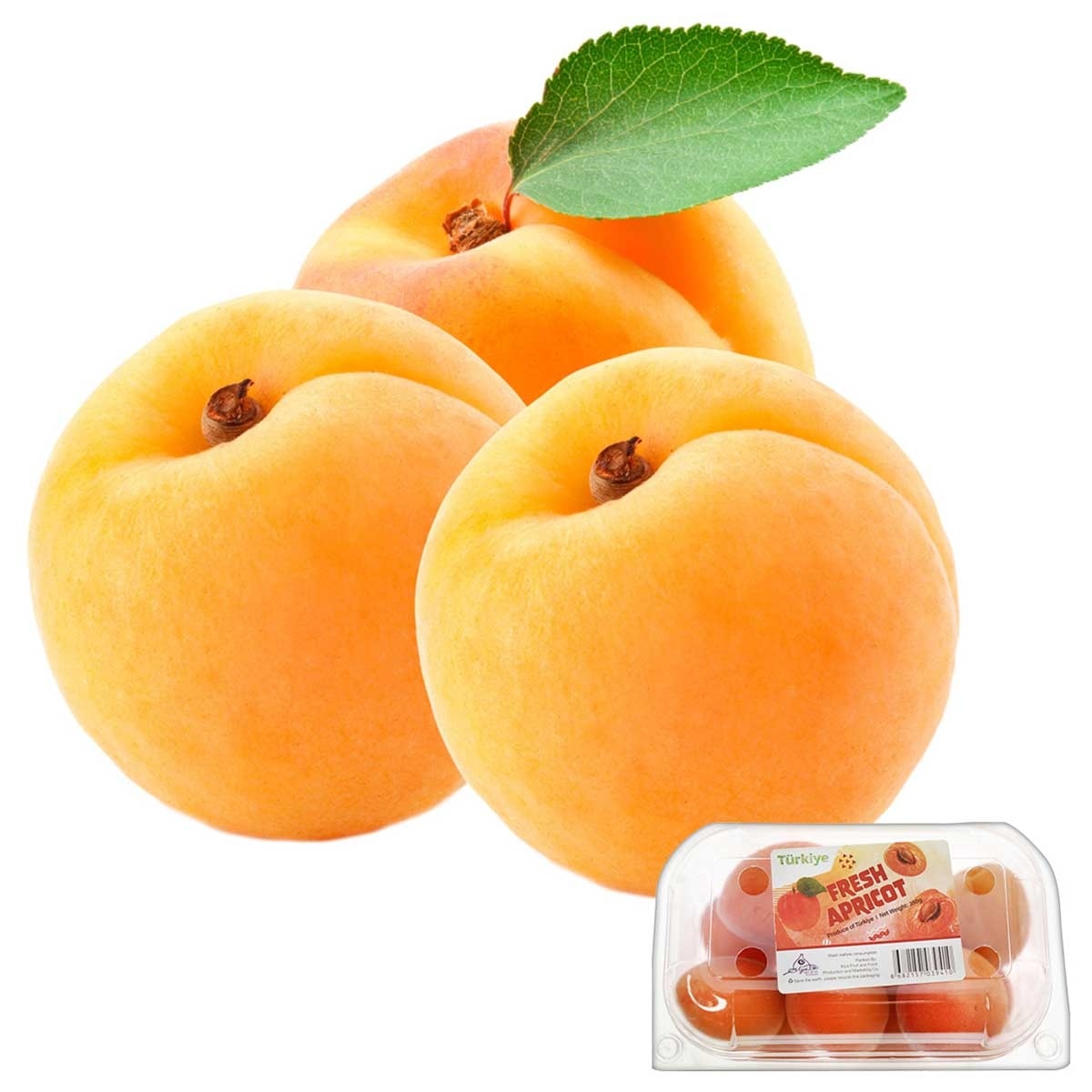 Apricot (turkey)