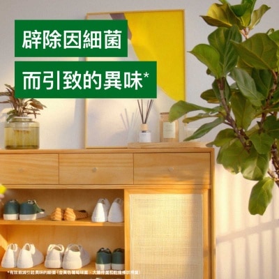 滴露 滴露殺菌消毒噴霧－檸檬 450ML