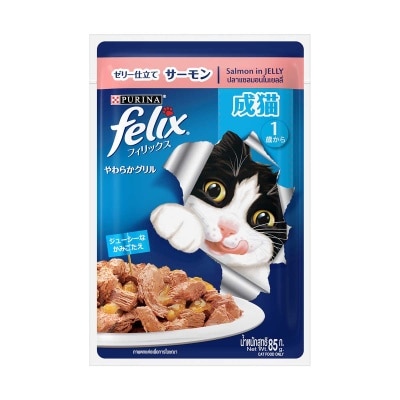 FELIX Adult Salmon