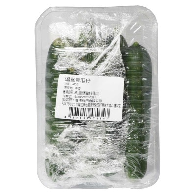 Green House Mini Cucumber (china)