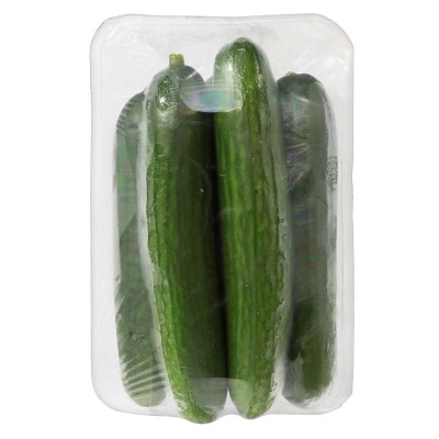 Green House Mini Cucumber (china)