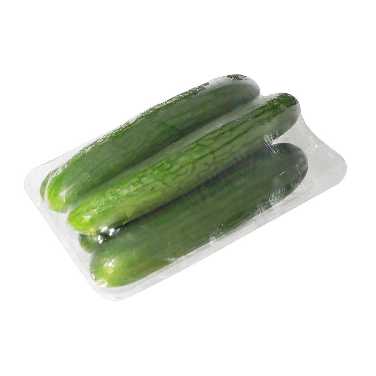 Green House Mini Cucumber (china)