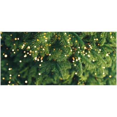 CHRISTMASTREEHK 花旗松聖誕樹7 8尺高（連底座） image
