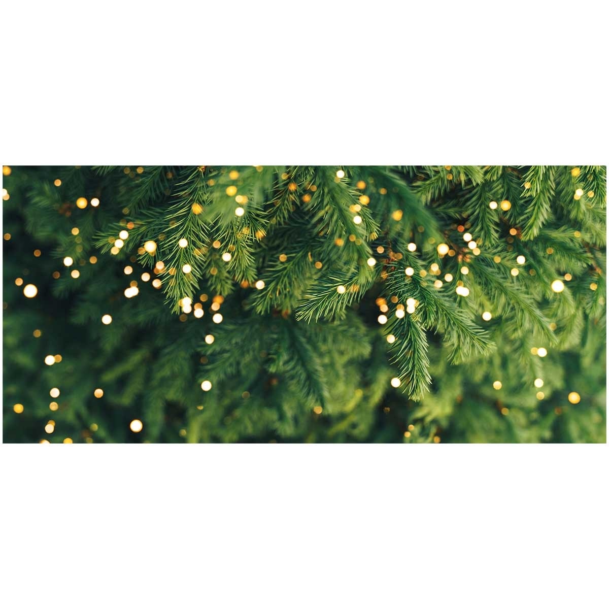 CHRISTMASTREEHK 花旗松聖誕樹7 8尺高（連底座） image