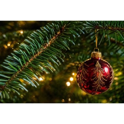 CHRISTMASTREEHK 貴族松聖誕樹6 7尺高（連底座） image