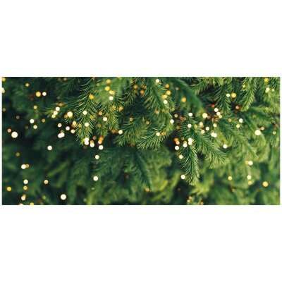 CHRISTMASTREEHK 貴族松聖誕樹6 7尺高（連底座） image