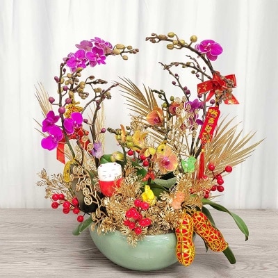 迷你蝴蝶蘭 (*商戶直送) (需收取運費)