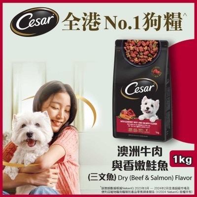 CESAR Dry Beef & Salmon Flavor