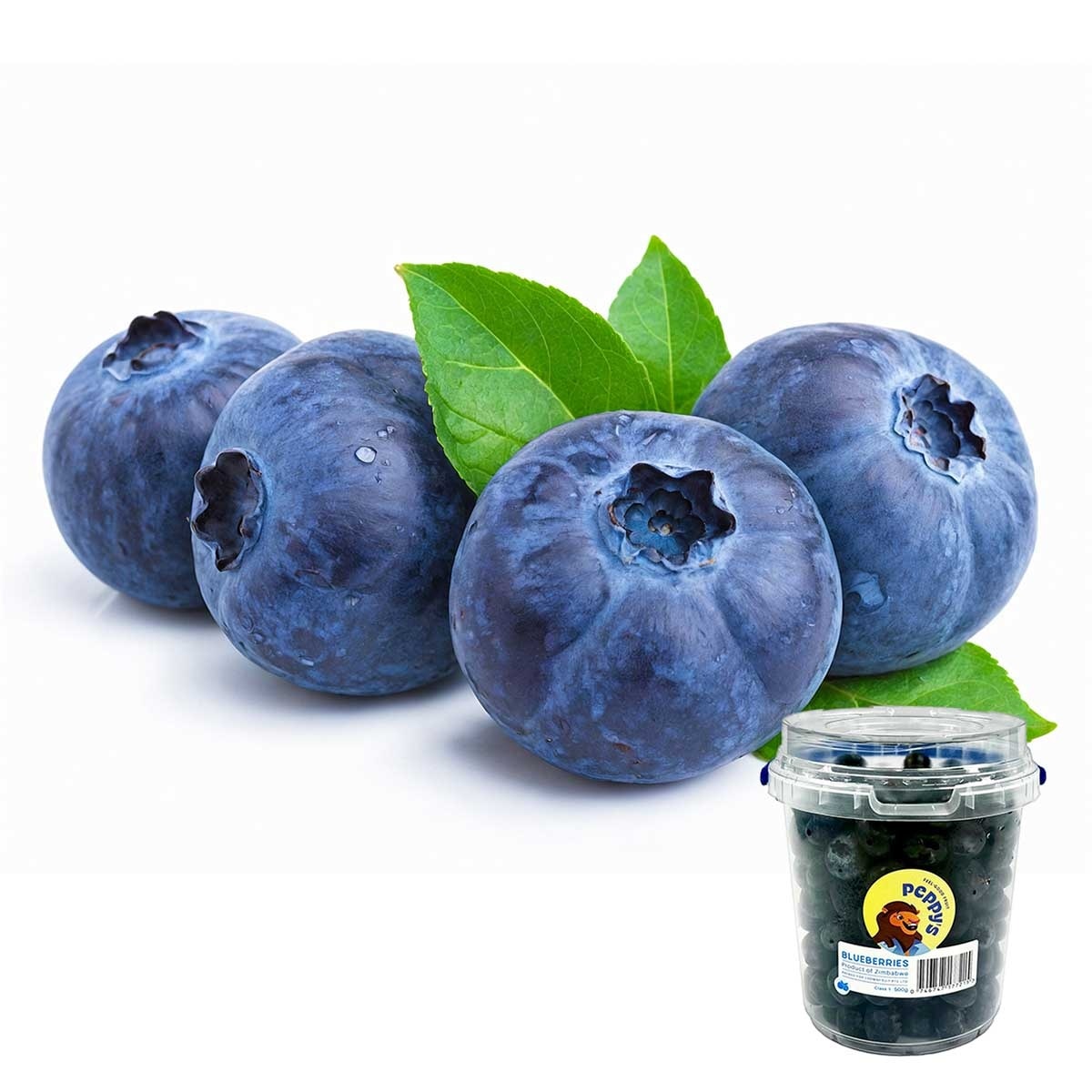 Blueberry Family Pack