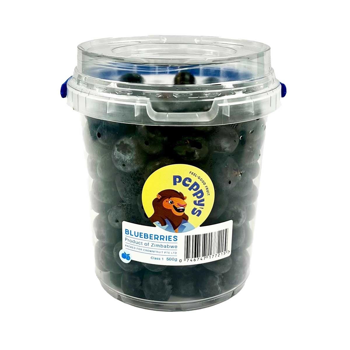 Blueberry Family Pack