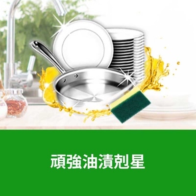 AXION Spring Fresh Lemon Action Dishwashing Liquid With Powerful Oil Removal