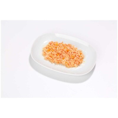 ALMO NATURE Adult Cat Hfc 70g Can Food - Chicken With Pumpkin