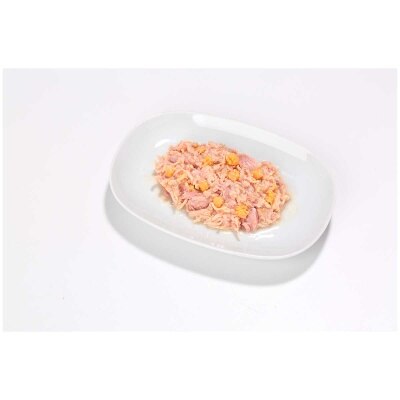 ALMO NATURE Adult Cat Hfc 70g Can Food - Tuna, Chicken And Cheese