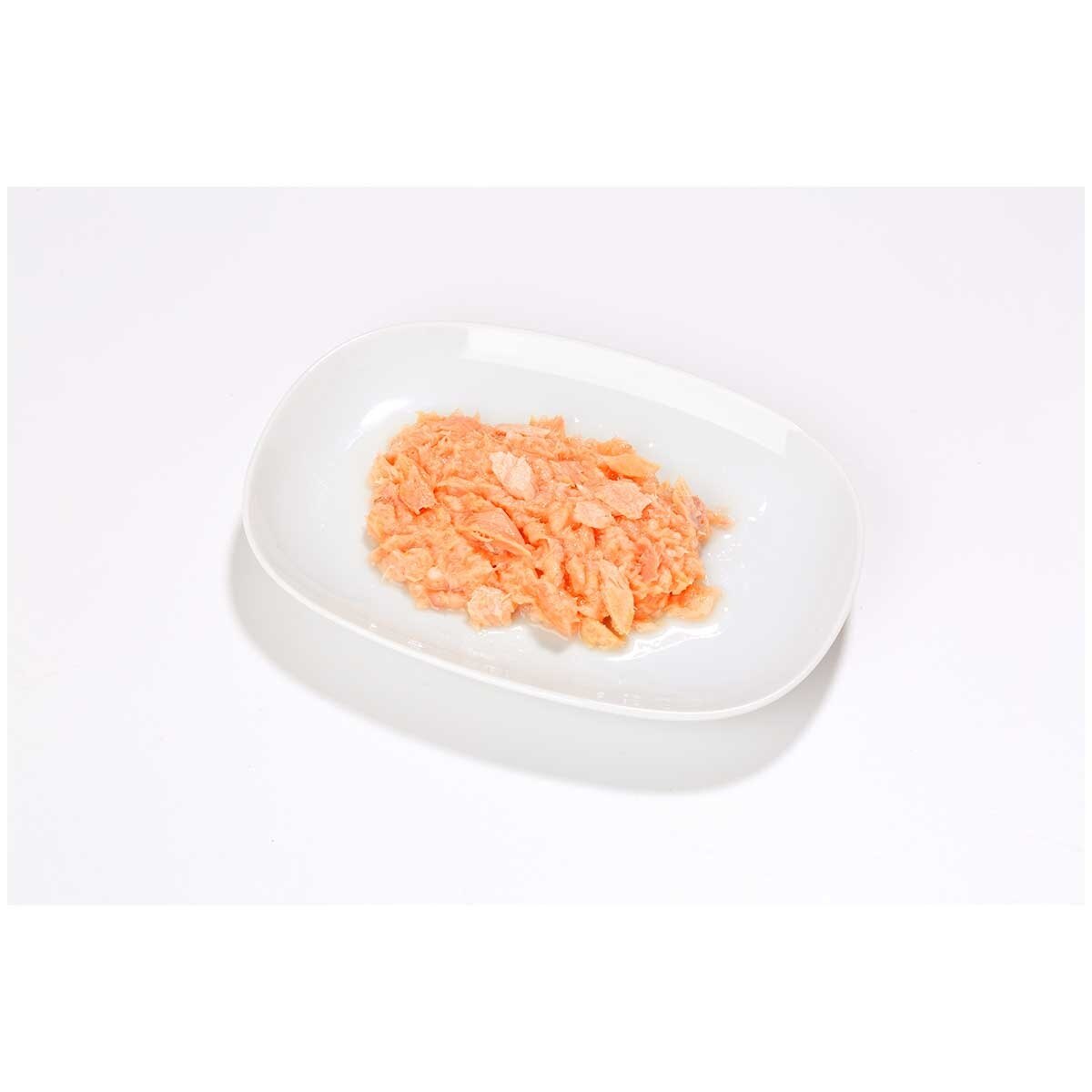 ALMO NATURE Adult Cat Hfc Jelly 70g Can Food - Salmon