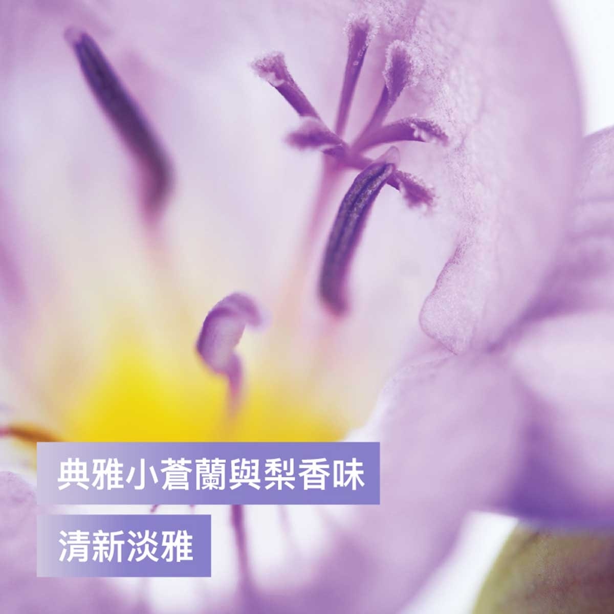 滴露 親膚沐浴乳霜 - 小蒼蘭花香與梨