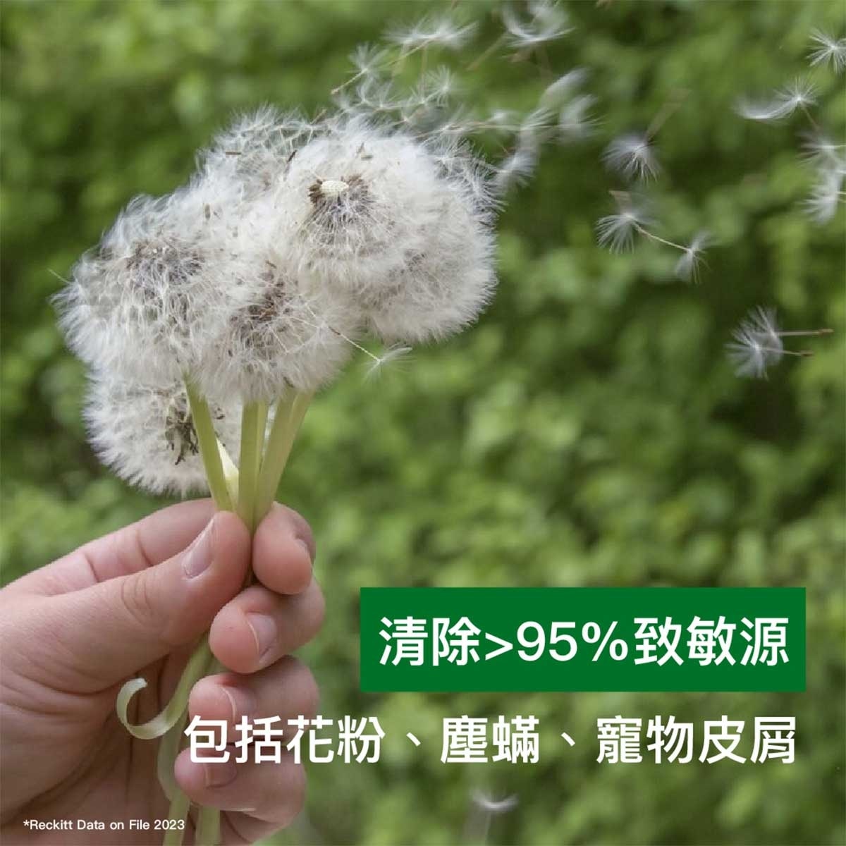 滴露 萬用消毒濕紙巾（青蘋果）