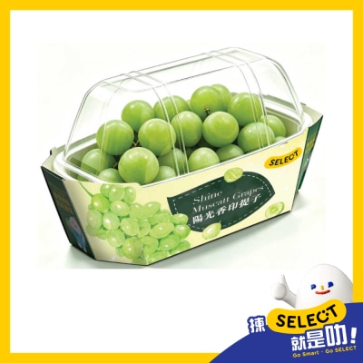 SELECT Shine Muscat Grape (china) image