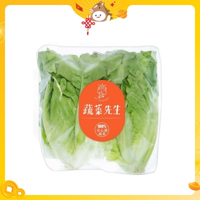 蔬菜先生 包裝唐生菜（中國）