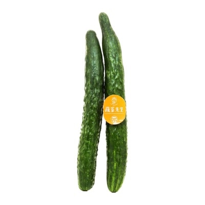 MR VEGETABLE Green  Cucumber (pack)