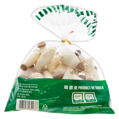 JOYFUL HOME Mini King Oyster Mushroom