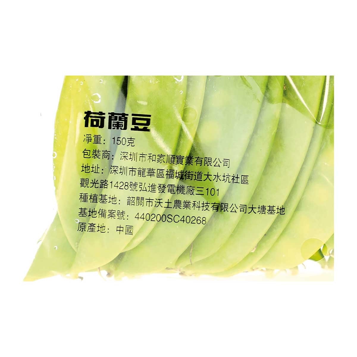 蔬菜先生 荷豆