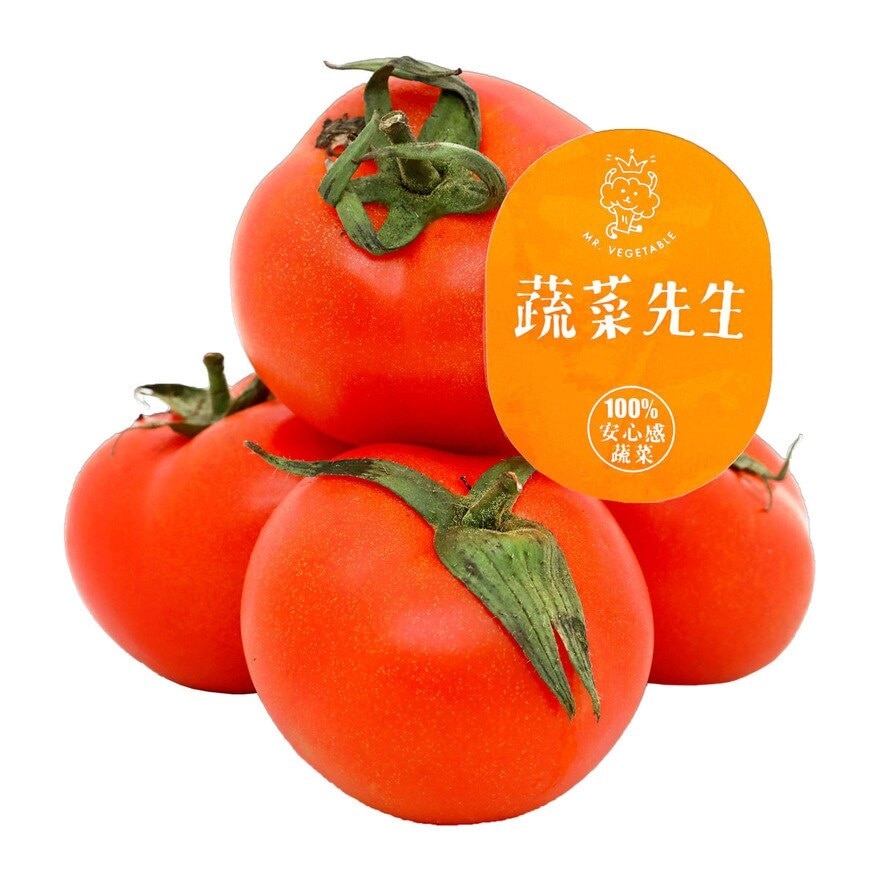 MR VEGETABLE Tomatoes 1lb (pack)