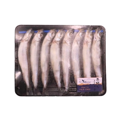 NOVA MARINE 冰島多春魚[冰島](急凍 -18°c)