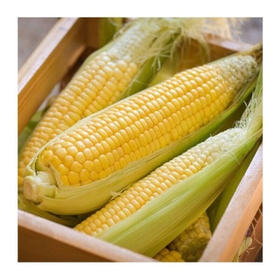 MR. VEGETABLE Corn (3 Pieces) image