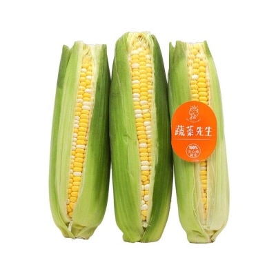 MR VEGETABLE Corn (3 Pieces)