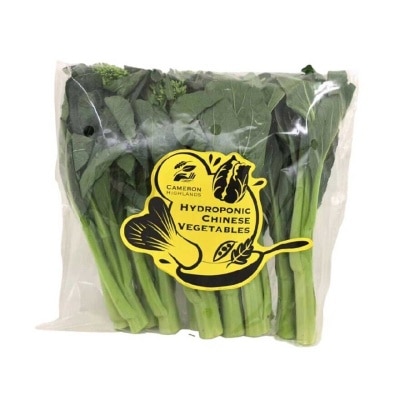 CAMERON HIGHLANDS Hydroponic Choi Sum