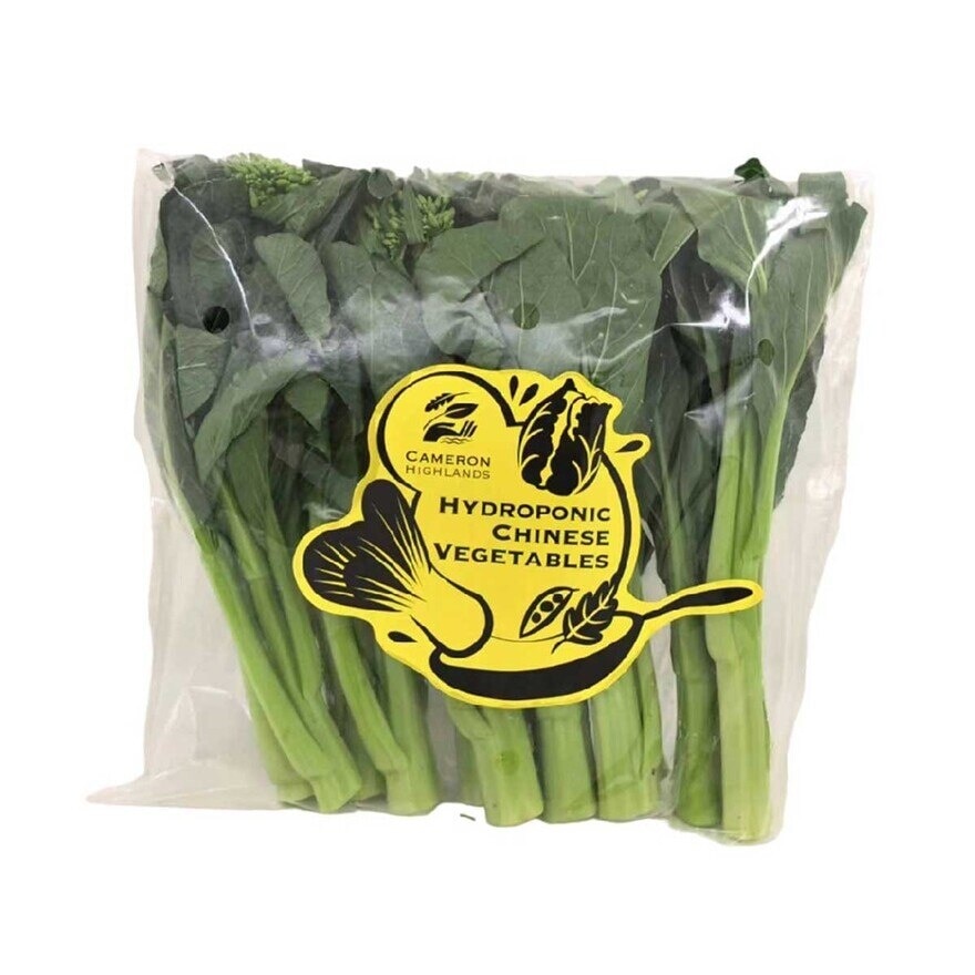 CAMERON HIGHLANDS Hydroponic Choi Sum