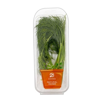 CAMERON HIGHLANDS Fresh Herb Dill