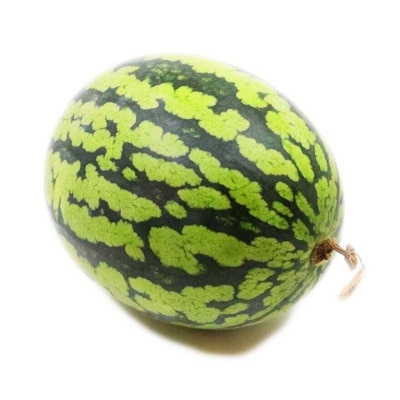 Gummy Watermelon (china)