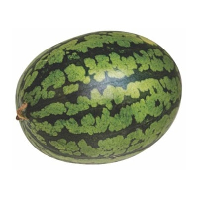 Gummy Watermelon (china)
