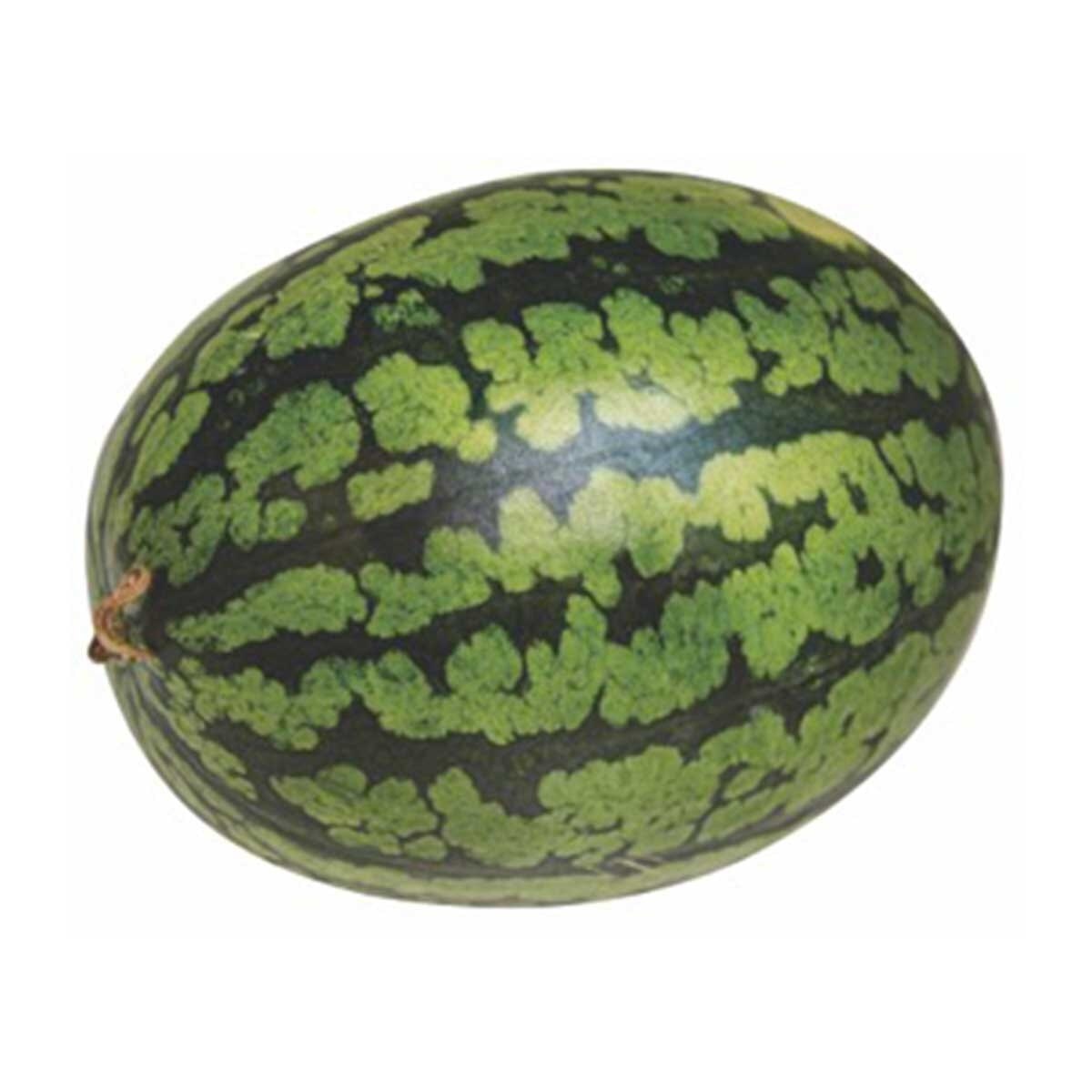 Gummy Watermelon (china)