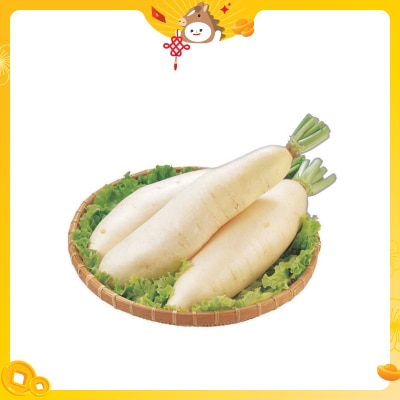 Chinese Radish (l)