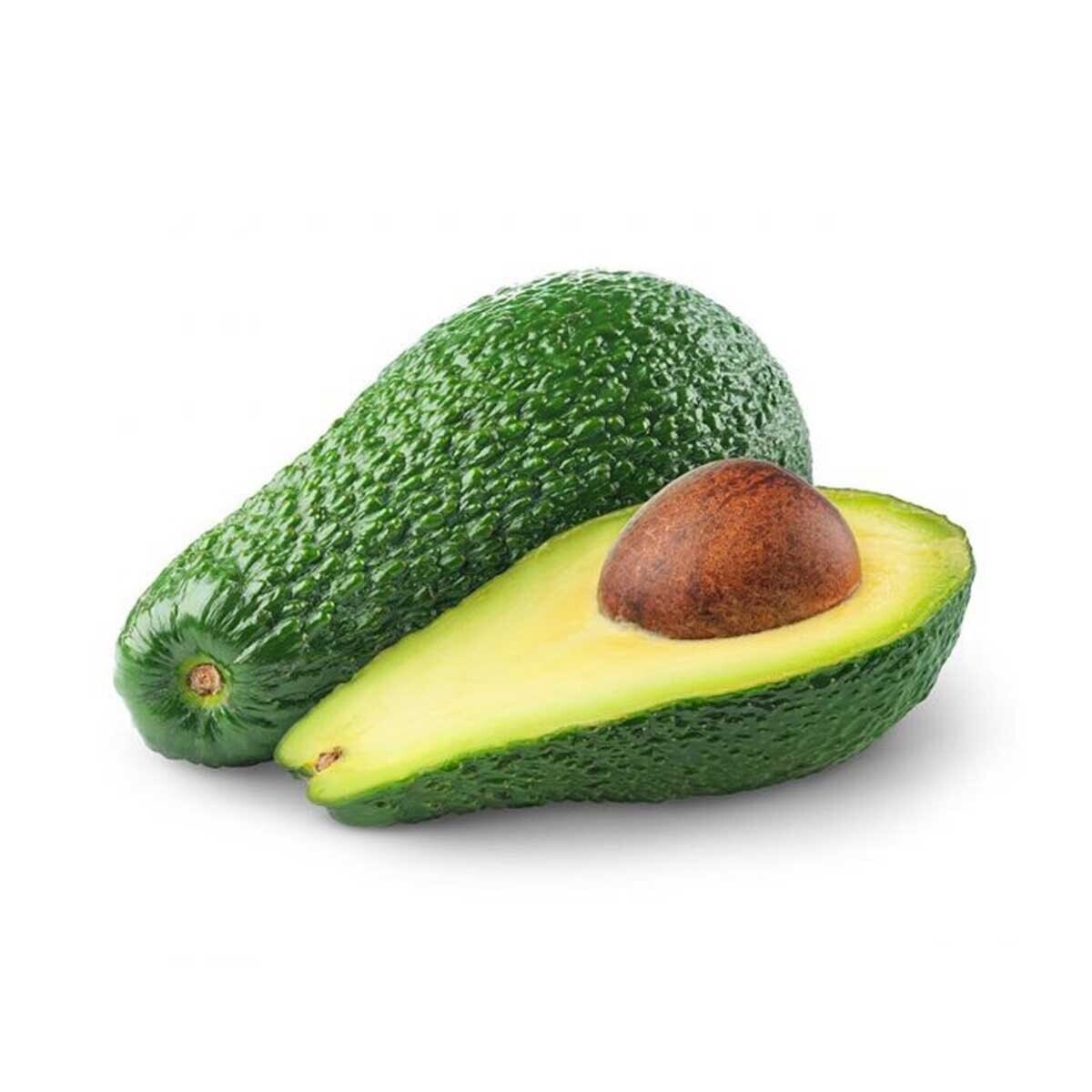 Xl Avocado