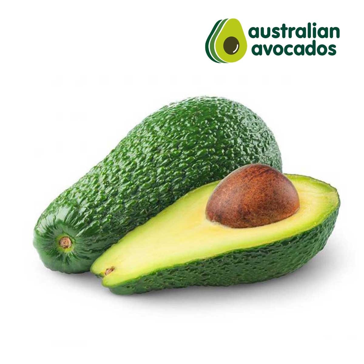 Australia Jumbo Avocado