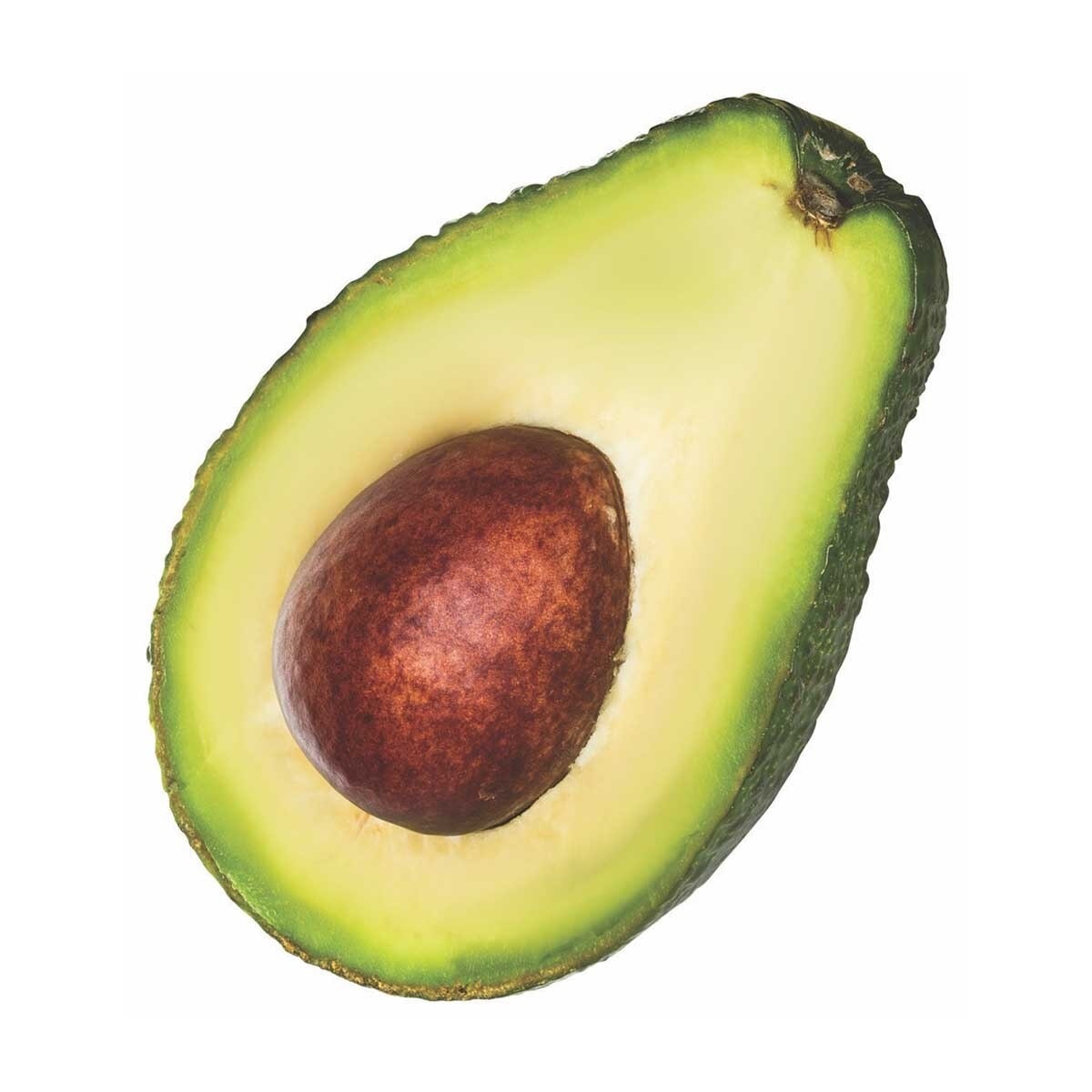 Australia Jumbo Avocado