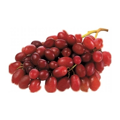 Egypt Red Seedless Grape 500g (punnet)