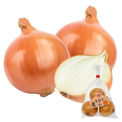 Onion (japan) image