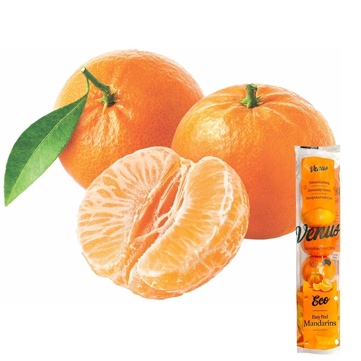 VENUS Australian Mandarin 5s