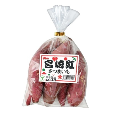 Sweet Potato (japan)