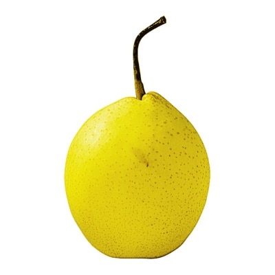 Ya Pear (china)