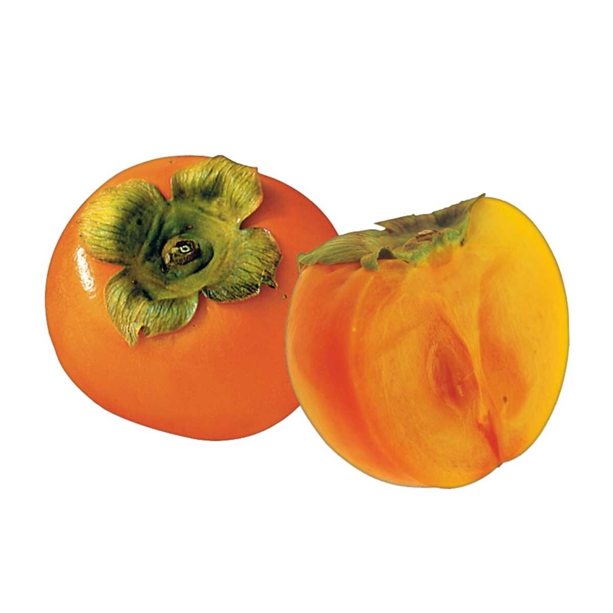 Persimmon