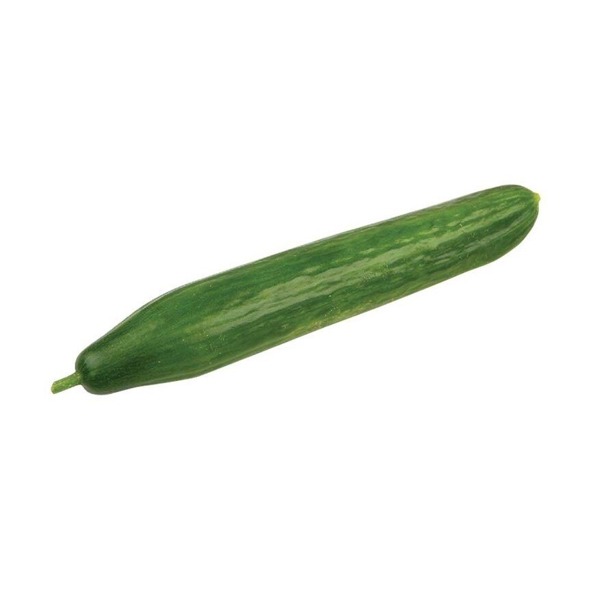 Holland Cucumber (each)