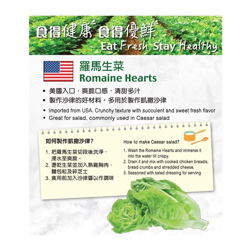 IPG Romaine Lettuce 340g