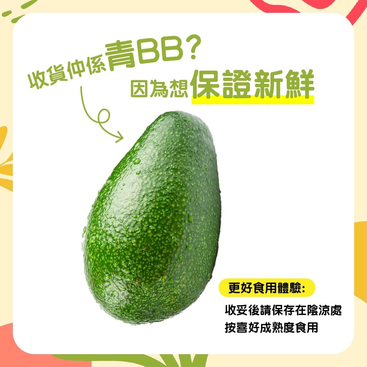 澳洲牛油果(每個)