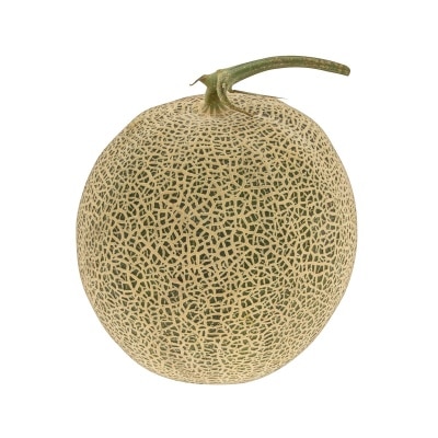 FARMER'S PRAISE Musk Melon  (china)