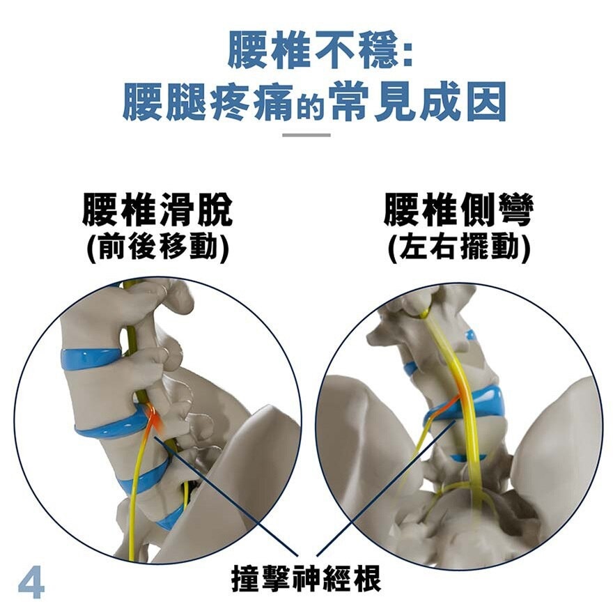 MEDEX Back Support (with Cinch Device)